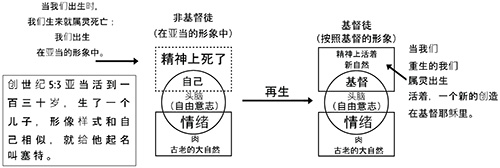 圣经概述