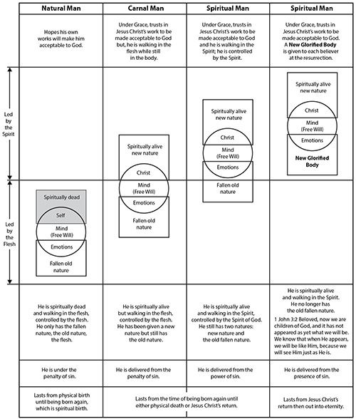 Natural Man, Carnal Man, and Spiritual Man