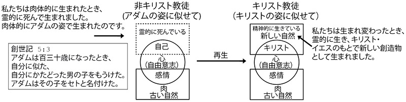 聖書の概要 Bible Overview