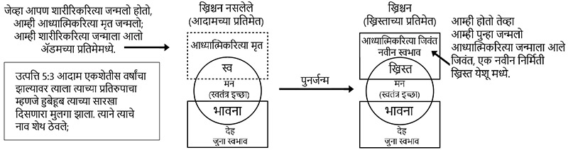 पुनर्जन्म म्हणजे काय? What Does Born again Mean?