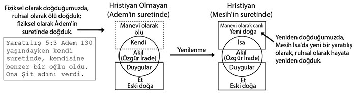 Bible Overview